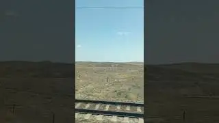 Ведутся дорожные работы