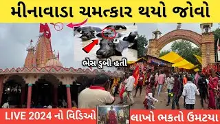 મીનાવાડા દશામાં નું મંદિર 2024 | મીનાવાડા નો મેળો live | Minavada Dashama Nu Mandir | Mayur Vlogs