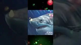 Sharky - (Shark Painting)