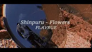 Shinpuru - Flowers Ft.AVRGE (Official Video)