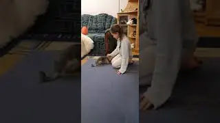 Мой йорик Тоша