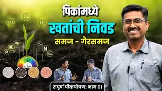 🌾 पिकांच्या भरघोस उत्पादनासाठी खतांची निवड | 🌱 जमीन सुधारणा उपाय 🌍 #fertilizer #nutrients #soil