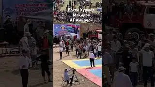 13 июня 2024 г.