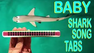How to Play Baby Shark on a Tremolo Harmonica with 20 Holes