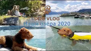 DOGVLOG: 1 Наши озёра -2020 - Our lakes 2020