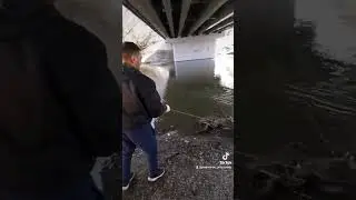вытащил железного коня на поисковый магнит