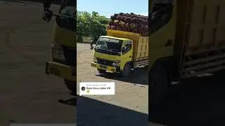 auman knalpot srigala truk kalimantan🐺keras!! bikin ngiler🤤