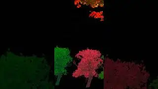 Vimage Green Tree Rad Tree Effect 