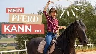 PFERDECAMP Challenge 🐴