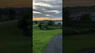 Walking The Dog! 🐕