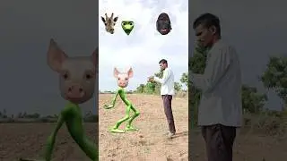 The new head matching game and funny vfx video