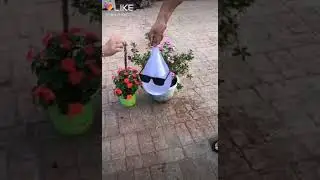 Залипашка для вас