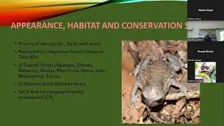 A Tale of the Unique Taita Hills Warty Frog