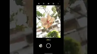 #mobilephotograpy #naturephotography #shortvideo #trendingshorts #youtubeshorts