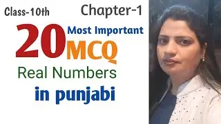 20 most important MCQ| Chapter -1|Class-10th in punjabi |PSEB