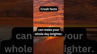 #shortsvideo #factsinhindi #politics #music
