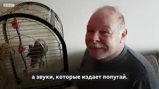 Попугай, который идеально имитирует телефонный звонок