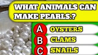 What Animals Can Make Pearls.?Think You're Smart? Tackle These 1 General Knowledge Questions!