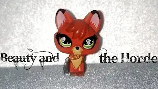 𝓛𝓟𝓢: Q&A 