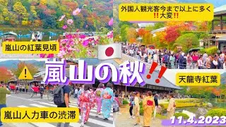 【嵐山紅葉2023•京都】嵐山の外国人観光客ツアー今まで以上に大混雑⚠️紅葉見頃| 人力車人気‼️|Best Season Arashiyama Kyoto Japan Autumn Foliage