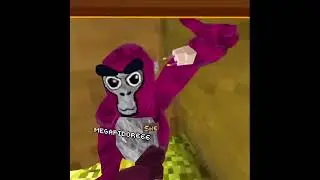 отдых с дорогой  3