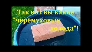 Черемуховые холода