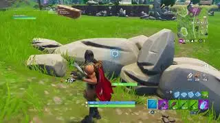 Fortnite Solo Win