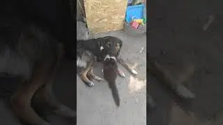 14 октября 2020 г.