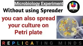 How to SPREAD your culture on PETRI PLATE without using SPREADER