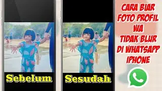 Cara Agar Foto Profil WA Tidak Blur Di Iphone