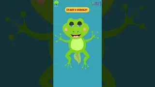 Life Cycle of a Frog #shorts #youtubeshorts #short #cartoon  #kids #kidsshorts
