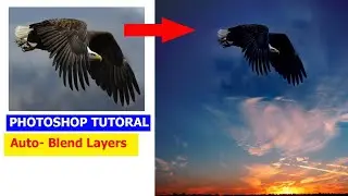 photoshop tutorial Auto blend layers mod in photoshop cc 2024