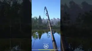 Трофейная Плотва 🐠🐋🐟