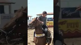 lindo