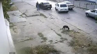 ДТП 05.10.2017 г. Севастополь , ул. Ленинградская , остановка Ивана голубца