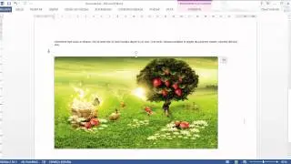 CÓMO INSERTAR Y EDITAR IMÁGENES EN WORD