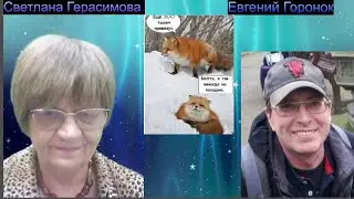 Евгений Горонок: У волков и собак в Украине уже целлюлит. Инопланетяне готовы спасать  человечество