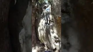 Steve climbing at castle rock