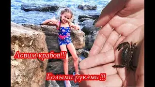 Ловим крабов голыми руками.