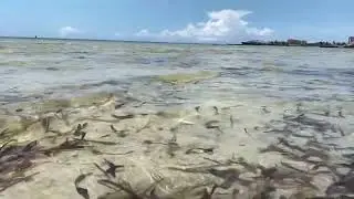 Slow Mo || Waves || Pirates Beach Mombasa