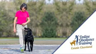Answers to Common Heeling Questions