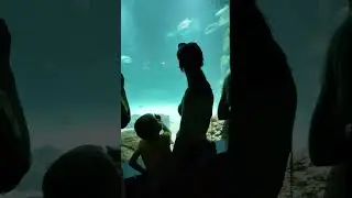 Москвариум 🐬
