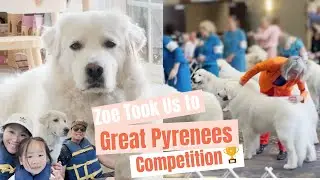 Zoe Meets the Great Pyrenees Champions