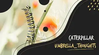 Caterpillar
