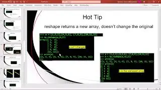 IS 4010 Summer 2021 NumPY