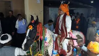 शेखावाटी शादी || wedding Shekhawati shaadi || देसी बैंड बाजा बारात निकासी || इंडियन गांव की शादी