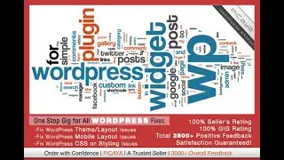 Fix your  wordpress errors, issues, bug or css
