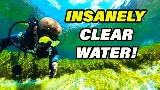 Our Amazing Florida Vacation & Scuba Adventure | PART 1