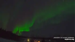 241110 Aurora at Fairbanks -Fairbanks (explore.org 0500)