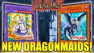 PRETTY GOOD! NEW DRAGONMAID SUPPORT | Yu-Gi-Oh!